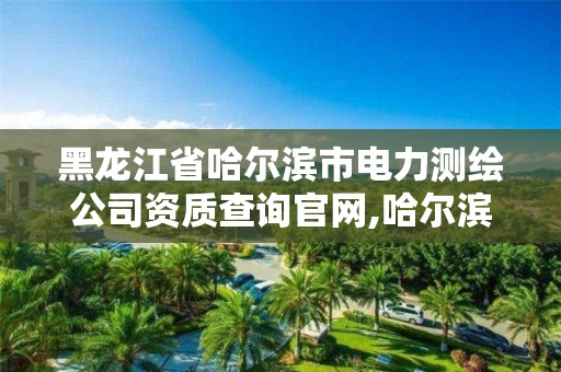 黑龙江省哈尔滨市电力测绘公司资质查询官网,哈尔滨电力检测。