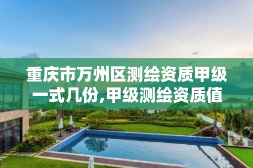 重庆市万州区测绘资质甲级一式几份,甲级测绘资质值多少钱。