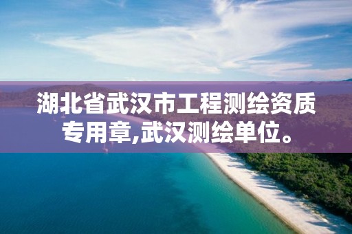 湖北省武汉市工程测绘资质专用章,武汉测绘单位。