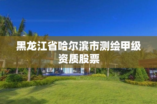 黑龙江省哈尔滨市测绘甲级资质股票