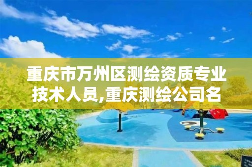 重庆市万州区测绘资质专业技术人员,重庆测绘公司名录。