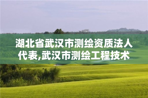 湖北省武汉市测绘资质法人代表,武汉市测绘工程技术规定。