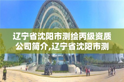 辽宁省沈阳市测绘丙级资质公司简介,辽宁省沈阳市测绘丙级资质公司简介图片。