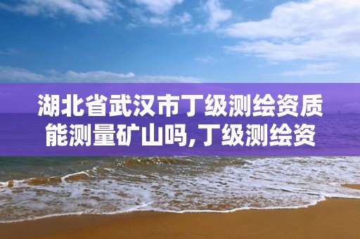 湖北省武汉市丁级测绘资质能测量矿山吗,丁级测绘资质业务范围。