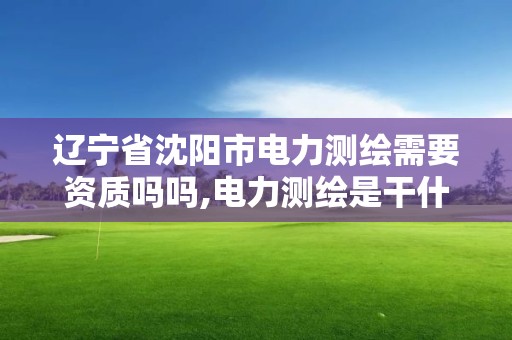 辽宁省沈阳市电力测绘需要资质吗吗,电力测绘是干什么的。