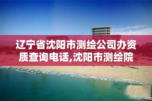 辽宁省沈阳市测绘公司办资质查询电话,沈阳市测绘院是什么单位。