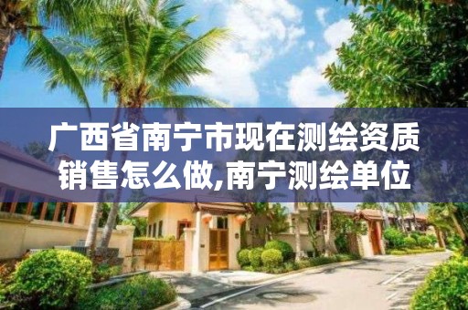 广西省南宁市现在测绘资质销售怎么做,南宁测绘单位。