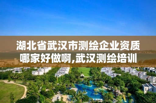 湖北省武汉市测绘企业资质哪家好做啊,武汉测绘培训机构。