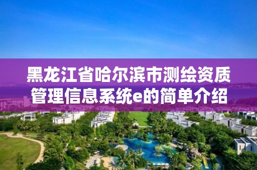 黑龙江省哈尔滨市测绘资质管理信息系统e的简单介绍