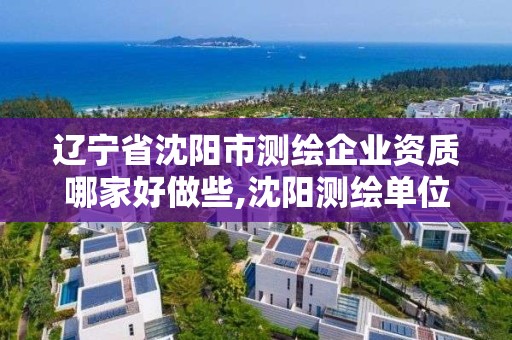 辽宁省沈阳市测绘企业资质哪家好做些,沈阳测绘单位招聘。