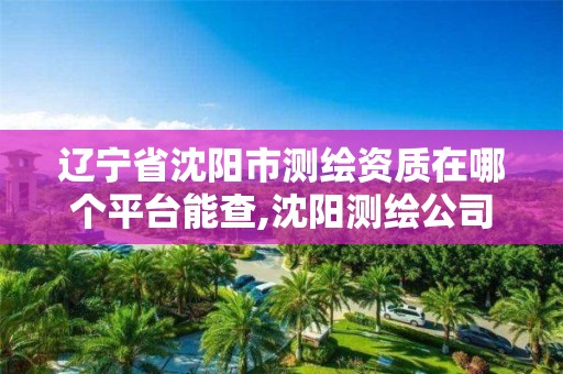 辽宁省沈阳市测绘资质在哪个平台能查,沈阳测绘公司哪家强哪家好。