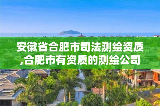 安徽省合肥市司法测绘资质,合肥市有资质的测绘公司。