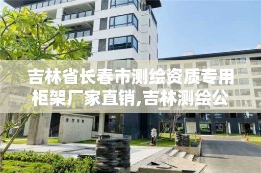 吉林省长春市测绘资质专用柜架厂家直销,吉林测绘公司。