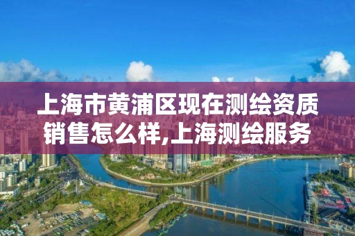 上海市黄浦区现在测绘资质销售怎么样,上海测绘服务中心。