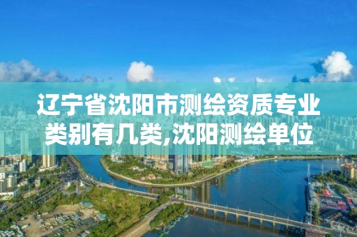 辽宁省沈阳市测绘资质专业类别有几类,沈阳测绘单位招聘。