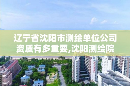 辽宁省沈阳市测绘单位公司资质有多重要,沈阳测绘院是什么单位。