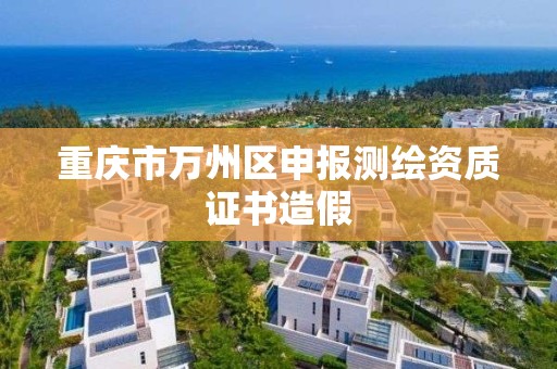 重庆市万州区申报测绘资质证书造假