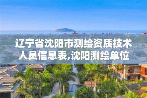 辽宁省沈阳市测绘资质技术人员信息表,沈阳测绘单位排名。