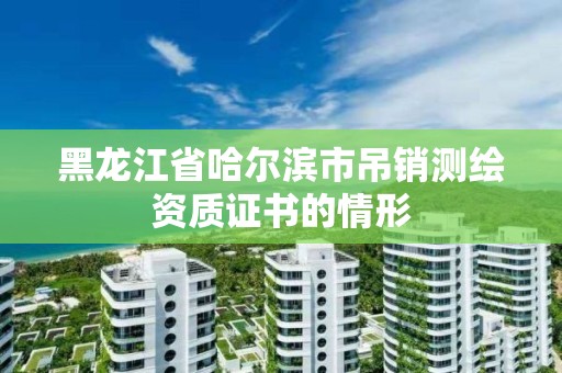 黑龙江省哈尔滨市吊销测绘资质证书的情形