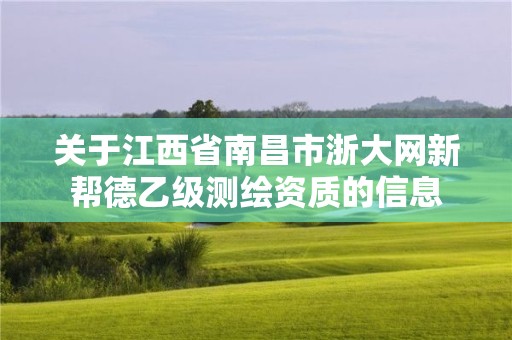 关于江西省南昌市浙大网新帮德乙级测绘资质的信息