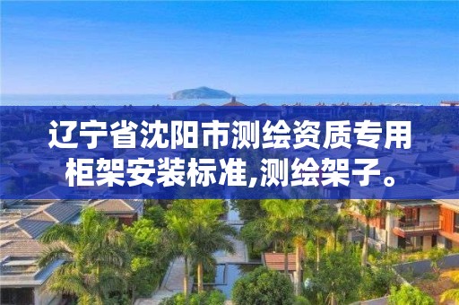 辽宁省沈阳市测绘资质专用柜架安装标准,测绘架子。