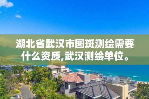 湖北省武汉市图斑测绘需要什么资质,武汉测绘单位。