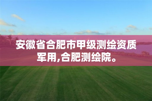 安徽省合肥市甲级测绘资质军用,合肥测绘院。