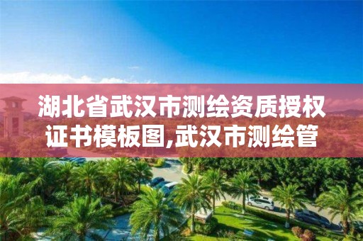 湖北省武汉市测绘资质授权证书模板图,武汉市测绘管理条例。