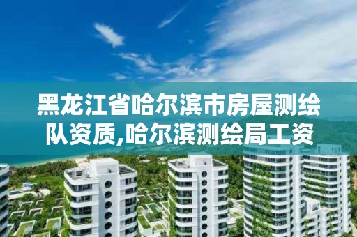 黑龙江省哈尔滨市房屋测绘队资质,哈尔滨测绘局工资怎么样。