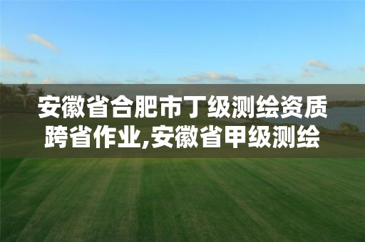 安徽省合肥市丁级测绘资质跨省作业,安徽省甲级测绘资质单位。