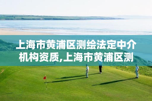 上海市黄浦区测绘法定中介机构资质,上海市黄浦区测绘法定中介机构资质查询。