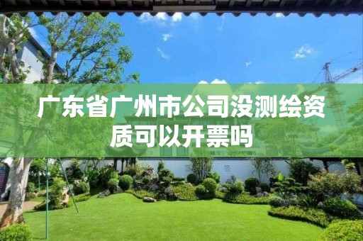 广东省广州市公司没测绘资质可以开票吗