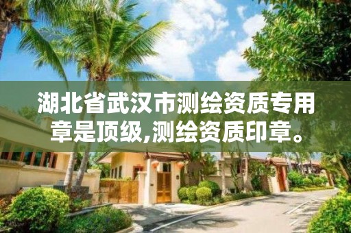 湖北省武汉市测绘资质专用章是顶级,测绘资质印章。