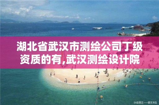 湖北省武汉市测绘公司丁级资质的有,武汉测绘设计院。