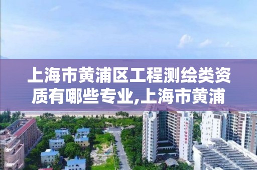 上海市黄浦区工程测绘类资质有哪些专业,上海市黄浦区测绘中心。