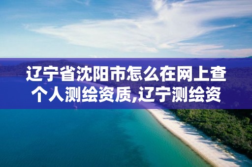 辽宁省沈阳市怎么在网上查个人测绘资质,辽宁测绘资质单位。