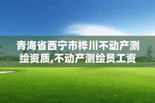 青海省西宁市桦川不动产测绘资质,不动产测绘员工资多少。