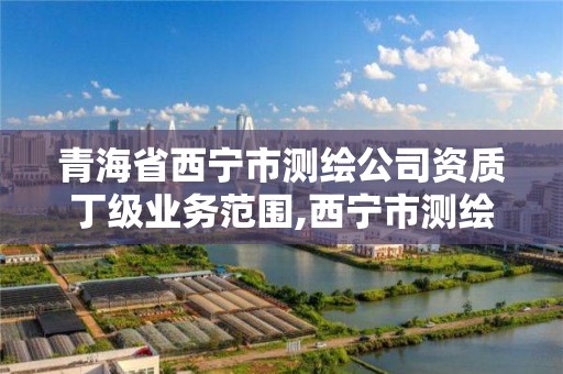 青海省西宁市测绘公司资质丁级业务范围,西宁市测绘院改企业。