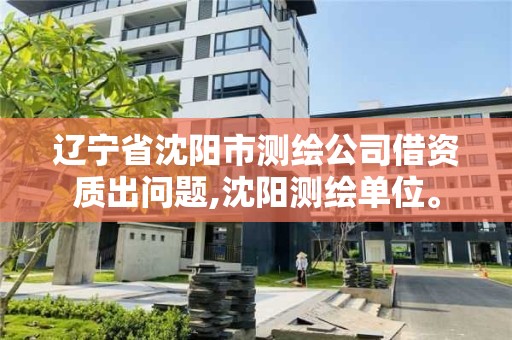 辽宁省沈阳市测绘公司借资质出问题,沈阳测绘单位。