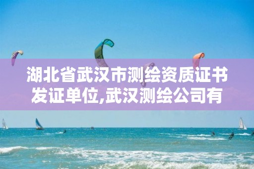 湖北省武汉市测绘资质证书发证单位,武汉测绘公司有哪些。