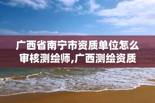 广西省南宁市资质单位怎么审核测绘师,广西测绘资质管理系统。