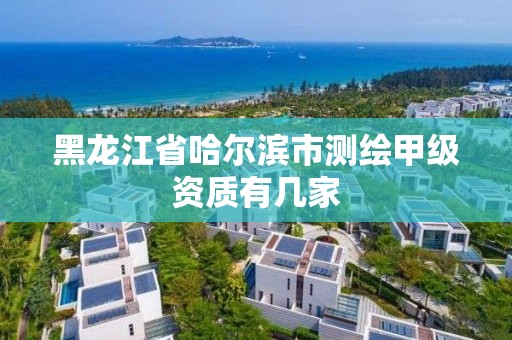 黑龙江省哈尔滨市测绘甲级资质有几家