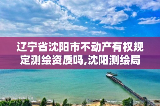 辽宁省沈阳市不动产有权规定测绘资质吗,沈阳测绘局电话。