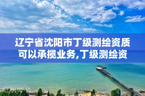 辽宁省沈阳市丁级测绘资质可以承揽业务,丁级测绘资质经营范围。