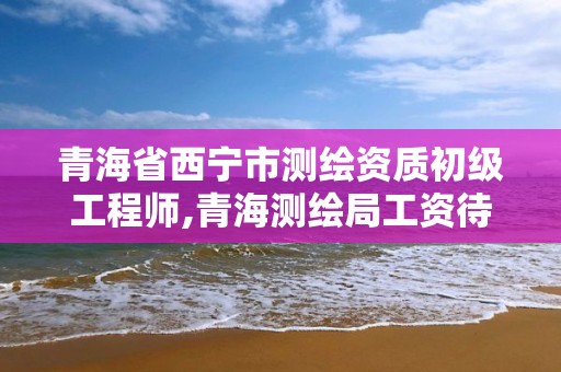 青海省西宁市测绘资质初级工程师,青海测绘局工资待遇。