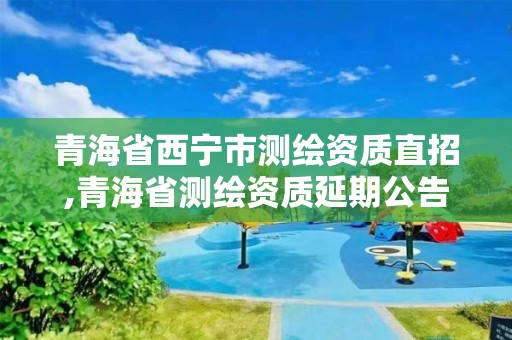 青海省西宁市测绘资质直招,青海省测绘资质延期公告。