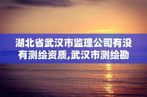 湖北省武汉市监理公司有没有测绘资质,武汉市测绘勘察设计甲级资质公司。