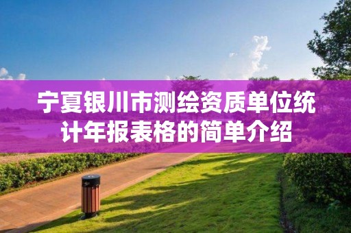 宁夏银川市测绘资质单位统计年报表格的简单介绍