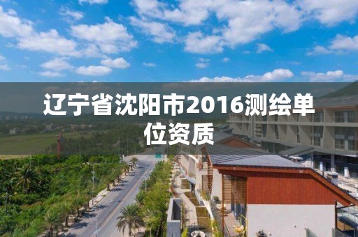 辽宁省沈阳市2016测绘单位资质