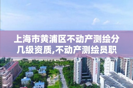 上海市黄浦区不动产测绘分几级资质,不动产测绘员职业资格证书。